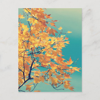 Det är en Löv Sak 1 Vykort