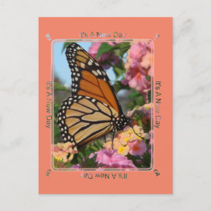 Det är en ny dagars Monarch Butterfly Vykort