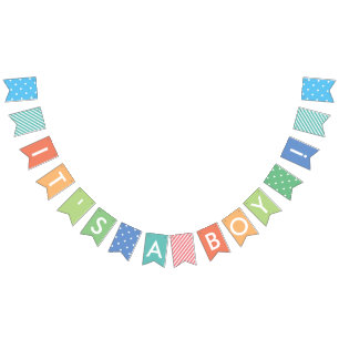 Det är en pastel Rainbow Baby Shower Banner. Vimplar