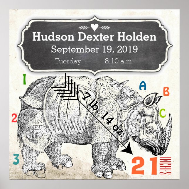 Det är en pojke! Nyfödd bebis Rhinoceros Poster (Framsidan)