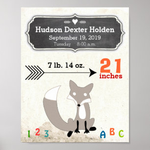 Det är en pojke! Nyfödd bebis Stats Cute Fox Poster