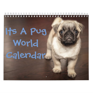 Det är en Pug Calendar Kalender