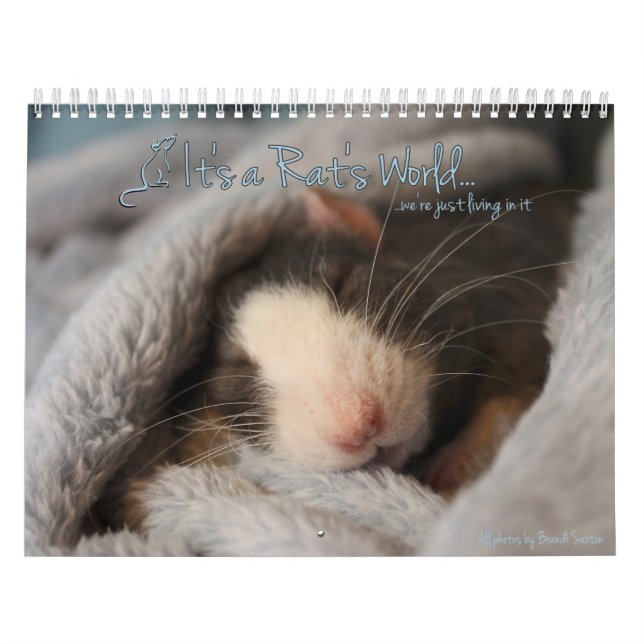 Det är en råtta världskalendern kalender (Omslag)