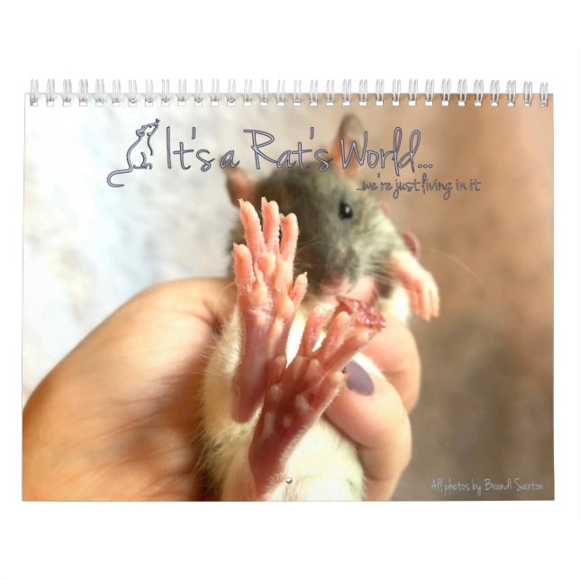 Det är en Råtta World Calendar Kalender (Omslag)