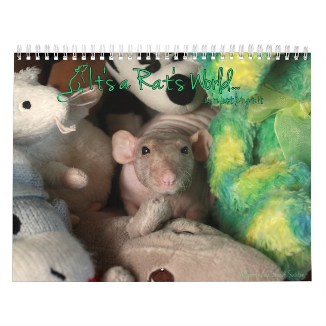 Det är en Råtta World Calendar Kalender (Omslag)