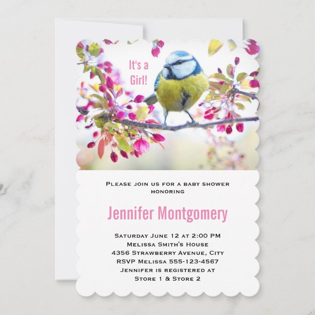 Det är en Söt Blue Bird Springtime Baby Showe Inbjudningar (Framsida)