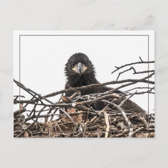 Det är en stor ny värld vykort (Framsida)