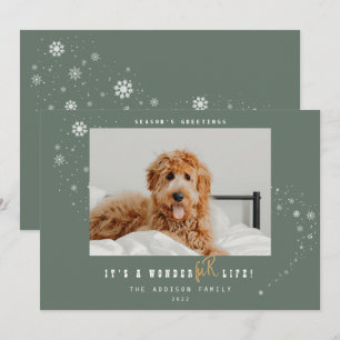 Det är en WonderFUR Life Pet Photo Sage-jul Julkort