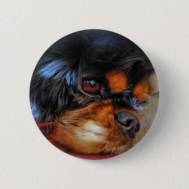 DET är ETT HÅRT LIV ....... Knapp (Framsida)