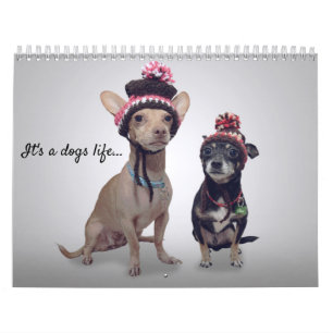 Det är ett hundar liv, hund av månadskalendern kalender