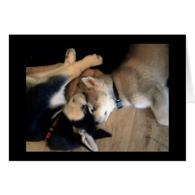 Det är ett hundliv OBS kort (Framsidan Horizontal)