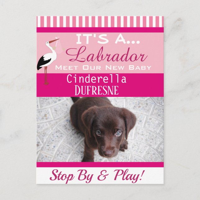 Det är ett meddelande om "nya sällskapsdjur" vykort (Framsida)