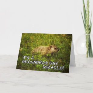 Det är ett underverk på en marschdag! kort