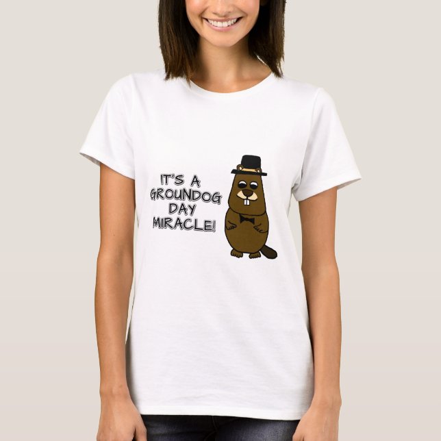 Det är ett underverk på grundvågen. t shirt (Framsida)