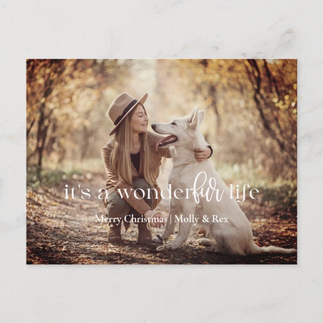 Det är ett WonderFUR Life: Pet jul Postcard Helg Vykort (Framsida)