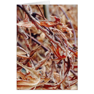 Det är Fall, jag Tänka av dig... Hälsningskort