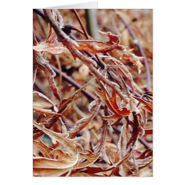 Det är Fall, jag Tänka av dig... Hälsningskort (Framsidan)