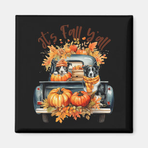 Det är Fall Y'all Gräns Collie Pumpkins Lastbil Au Magnet