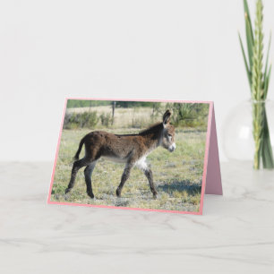 Det är flicka! Baby burro-hälsningskort Meddelande