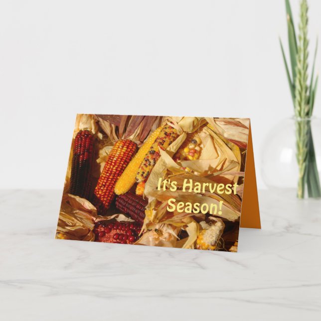 Det är Harvest Season, Söt Autumn Scene Hälsning Kort (Framsida)