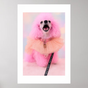 Det är hett Det är rosa Retro Kawaii Pudel Affisch