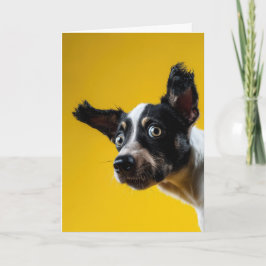 "Det är Hund" Kort