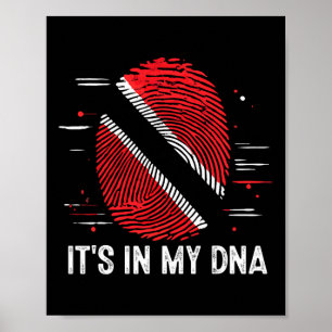 Det är i min Dna Trinidad och Togo Flagga Trinid Poster