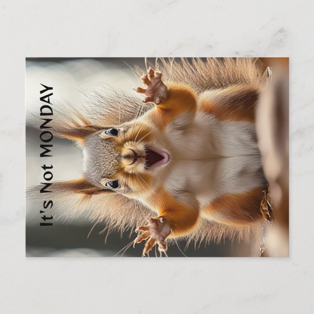 "Det är inte måndag" personlig Squirrel Funny Card Vykort (Framsida)