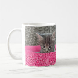 Det är inte mitt fel. Kontorshumor. Kattkaffemugg. Kaffemugg