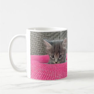 Det är inte mitt fel. Kontorshumor. Kattkaffemugg. Kaffemugg