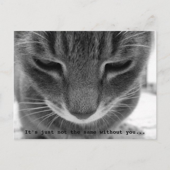 Det är inte samma sak utan dig.. vykort (Framsida)