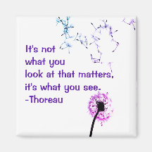 Det är inte vad du tittar på Thoreau Magnet