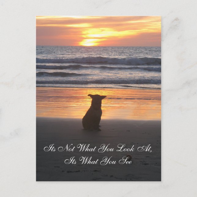 Det är inte vad du tittar på. vykort (Framsida)