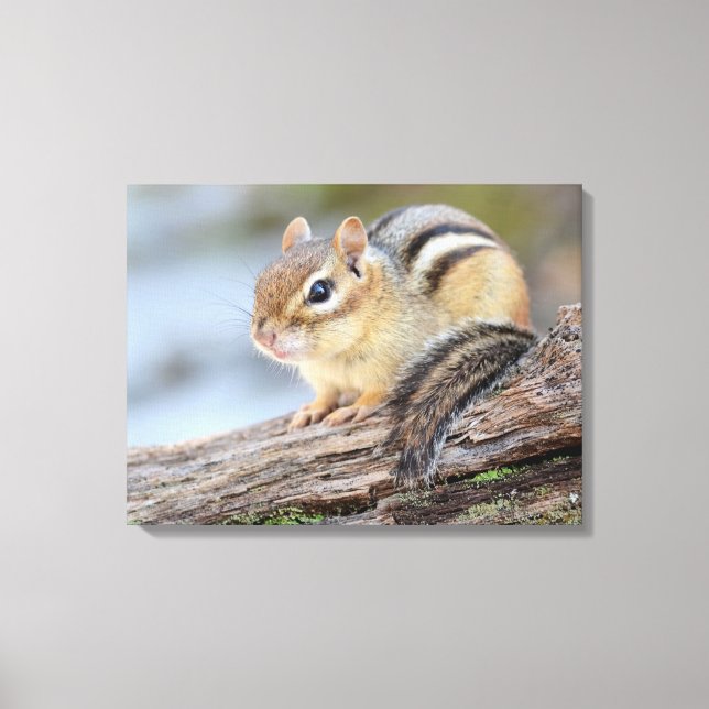 Det är ju bara en dålig lilla Chipmunk Canvastryck (Framsida)