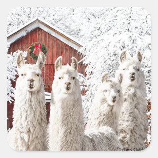 "Det är jul!" Klistermärken