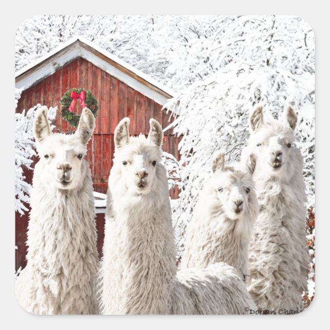 "Det är jul!" Klistermärken (Framsida)