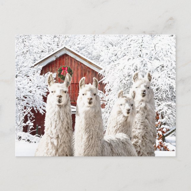 "Det är jul!" Vykort (Framsida)