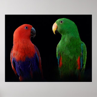 Det är Kärlek! Poster