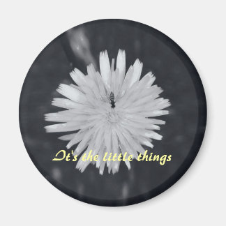 Det är lilla Saken Magnet