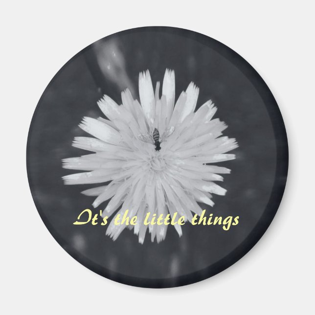 Det är lilla Saken Magnet (Framsidan)