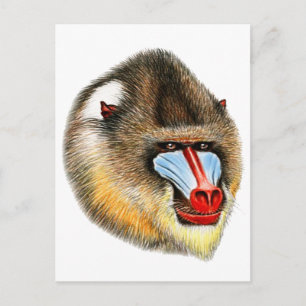 DET ÄR MANDRILL VYKORT