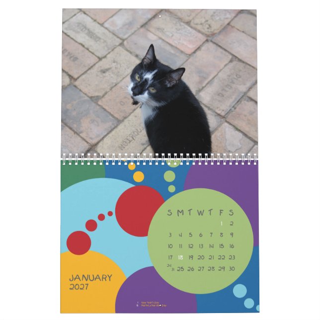 Det är MIN födelsedag, SUCKAS!!! Kalender (Jan 2027)