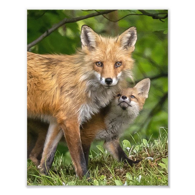 Det är min Pappa Fototryck (Framsidan)