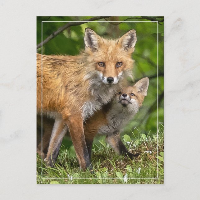 Det är min Pappa Vykort (Framsida)