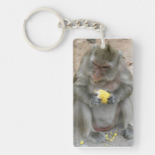 Det är min! .. Vild Thai Macaque Monkey