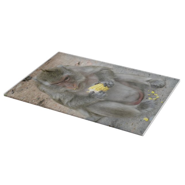 Det är min! .. Vild Thai Macaque Monkey (Hörn)