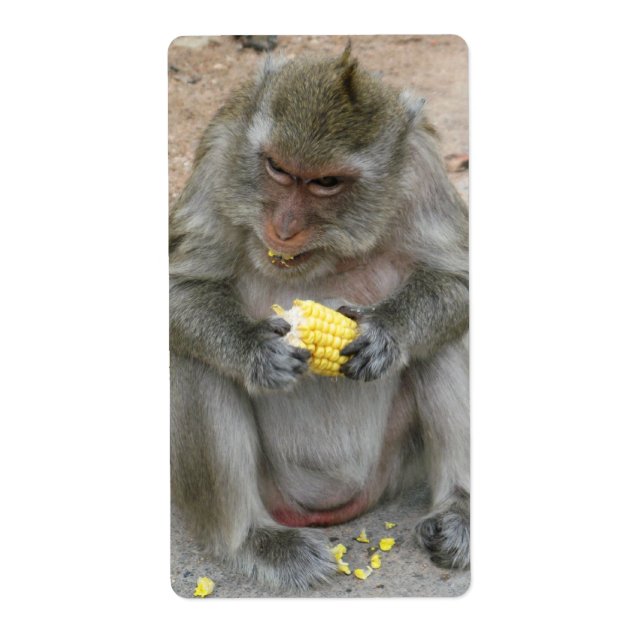 Det är min! .. Vild Thai Macaque Monkey Fraktsedel (Framsidan)
