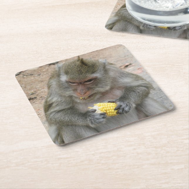 Det är min! .. Vild Thai Macaque Monkey Underlägg Papper Kvadrat (Vinklad)