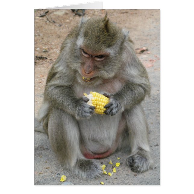 Det är min! .. Vild Thai Macaque-tangentkort Hälsningskort (Framsidan)
