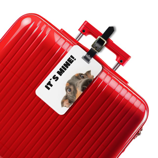 Det är mitt! Hund-sökning på foto Bagagebricka (Skapare uppladdad)